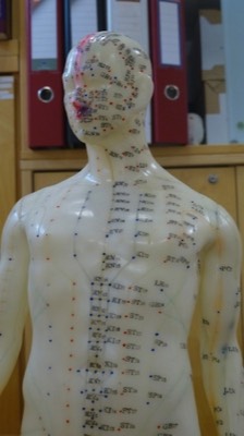 Abbildung Puppe mit Akupunkturpunkten